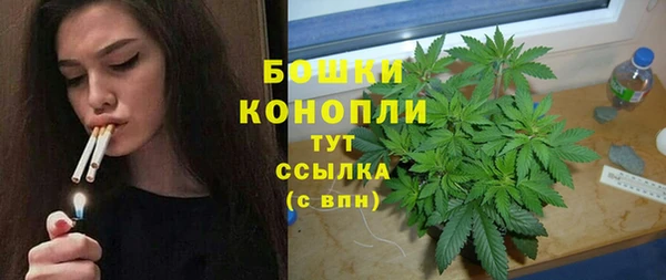 молекула духа Богородицк