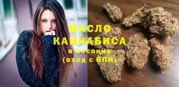 молекула духа Богородицк