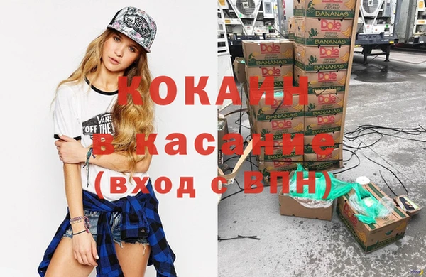 шишки Богданович