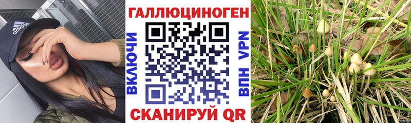 Псилоцибиновые грибы Cubensis  как найти закладки  Тобольск 
